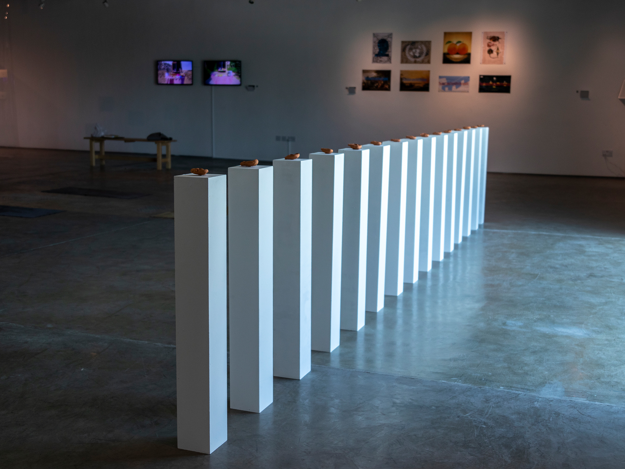 Dayneah, exhibition installation, 2021.